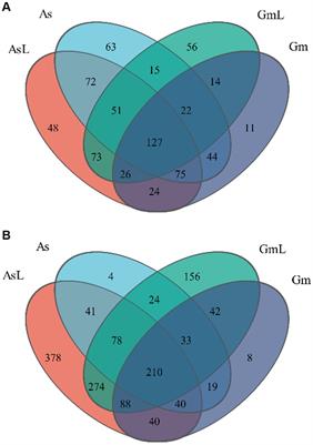 Analysis of differential effects of host plants on the gut microbes of Rhoptroceros cyatheae